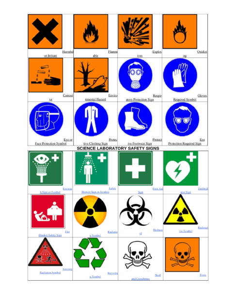 Radiation Safety