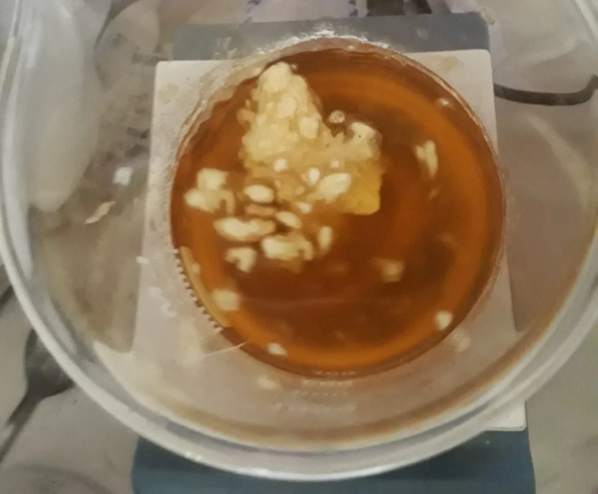 Agar Agar Solutions: Mastering Dissolution Challenges