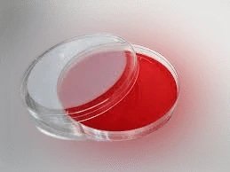 Blood Agar