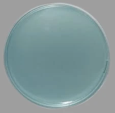 CLED Agar