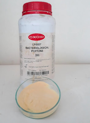 Bacteriological Peptone