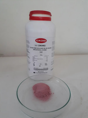 Eosin-Methylene Blue Agar SDS