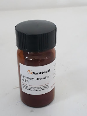 Safety Data Sheet for Ethidium Bromide