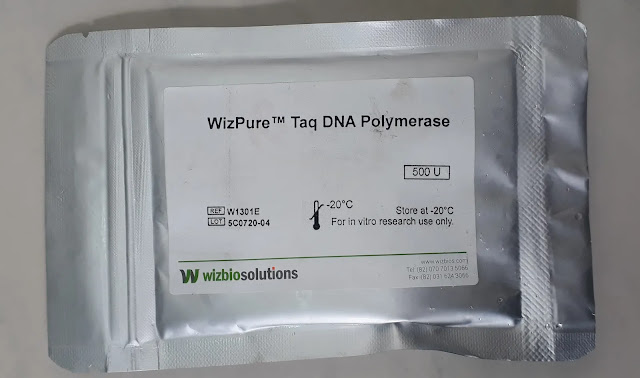 Taq-DNA Polymerase SDS