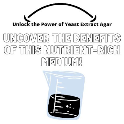 Yeast Extract Agar