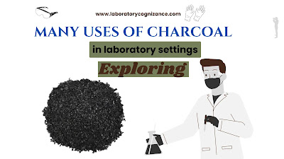 charcoal uses