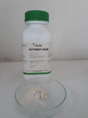 Nutrient Agar