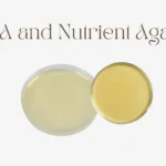 PDA and Nutrient Agar